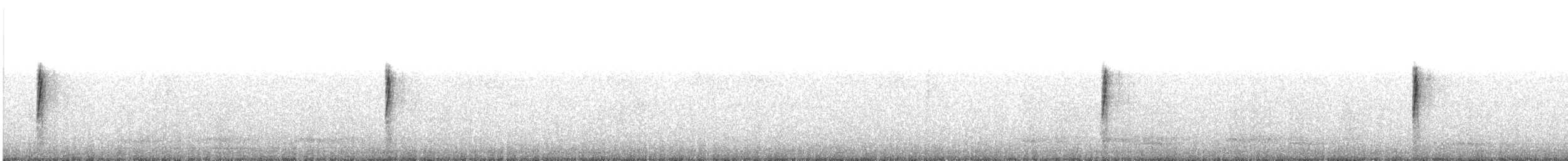 キヅタアメリカムシクイ（auduboni） - ML644592756