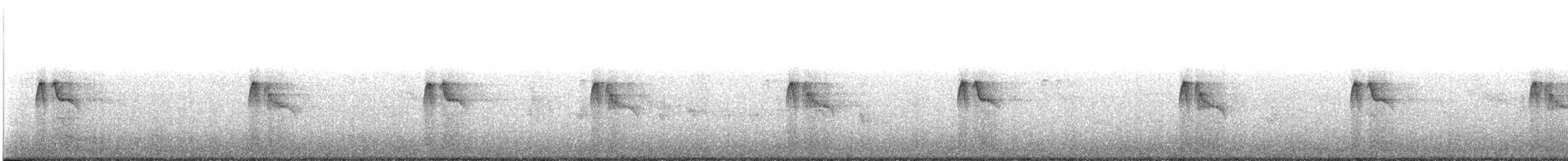 Black Phoebe - ML644592854