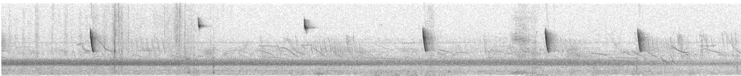 Rufous-collared Sparrow - ML644593816