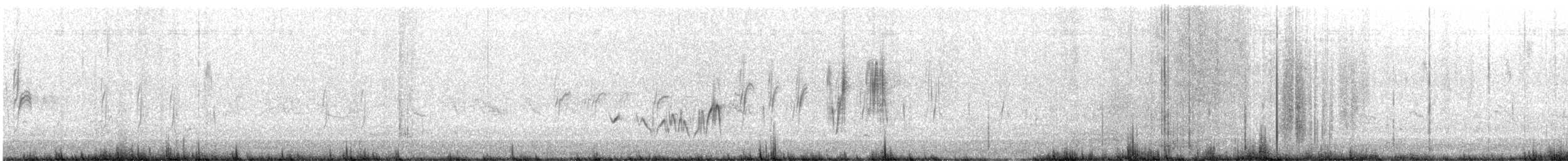 Levaillant's Cisticola - ML644595226