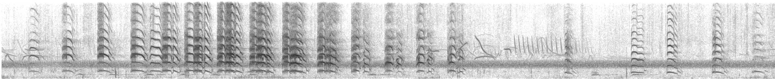 Southern Lapwing - ML644595561