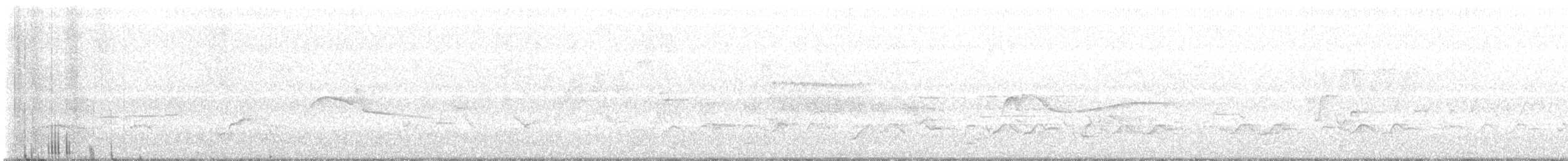 Hellbauch-Schnäppertyrann - ML644596450