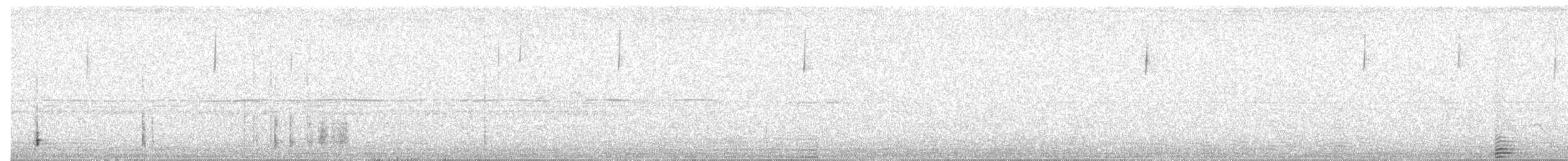 Тангар сивий - ML644596578