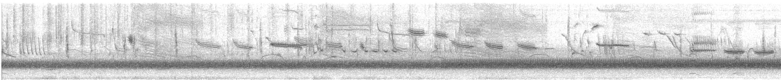 White-browed Meadowlark - ML644596689