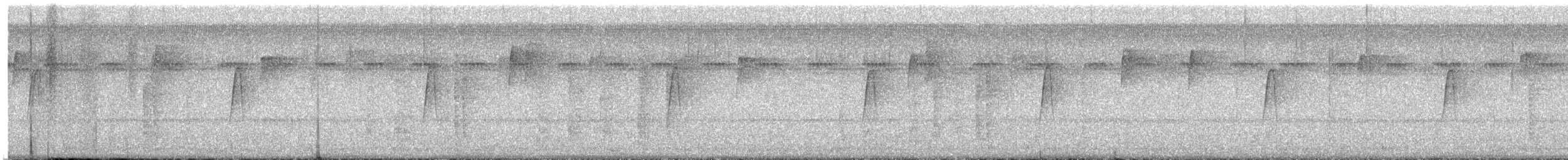 Empidonax sp. - ML644597122