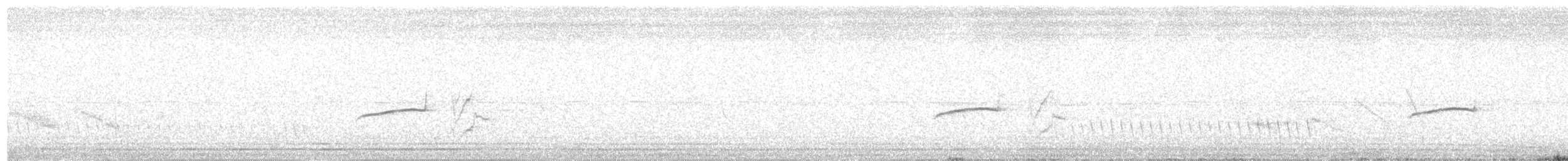 Тиранчик-тонкодзьоб південний - ML644597755