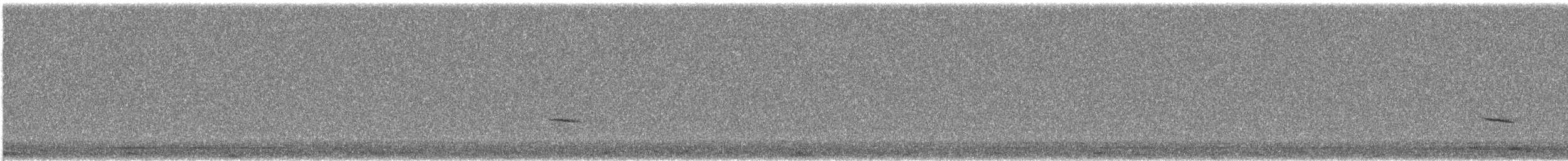 Hermit Thrush - ML644597765