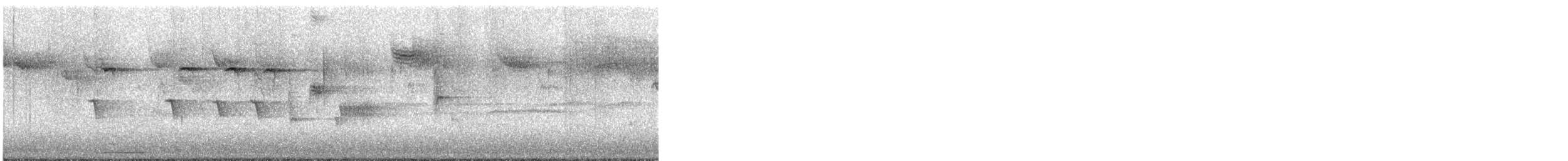 Chingolo Cantor - ML644597812