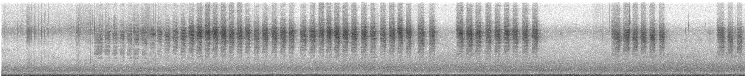 Cucarachero de Carolina - ML644597833