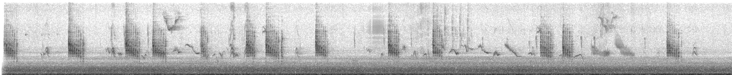 Northern House Wren - ML644598463