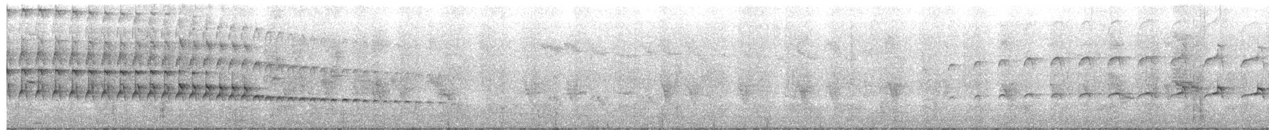 Oedicnème vermiculé - ML644598540