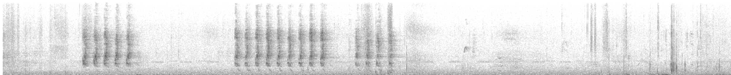 Стеллерова сойка - ML644599156
