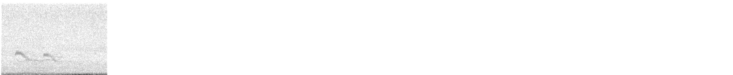 Hirondelle noire - ML644599212