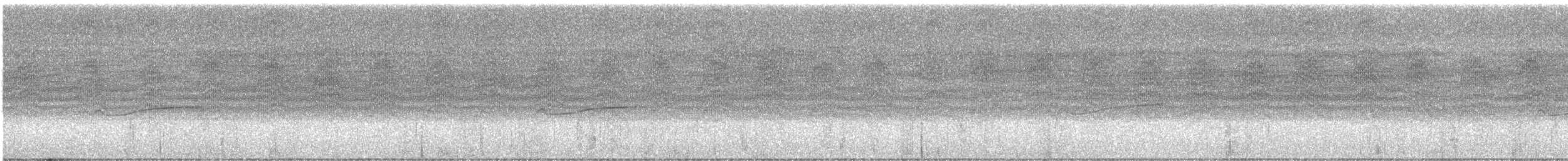 Hellbauch-Schnäppertyrann - ML644599260