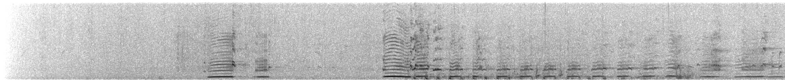 slípka modrá - ML644599582