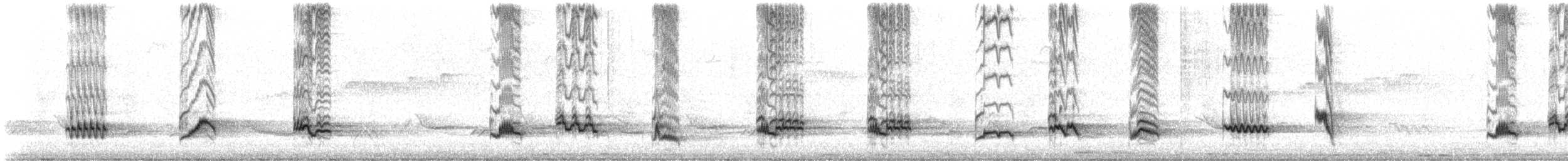 Merle à ventre clair - ML644599918