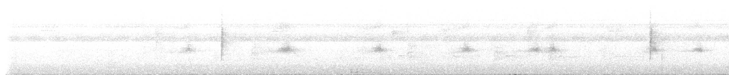 Цитринка чорновола - ML644600175