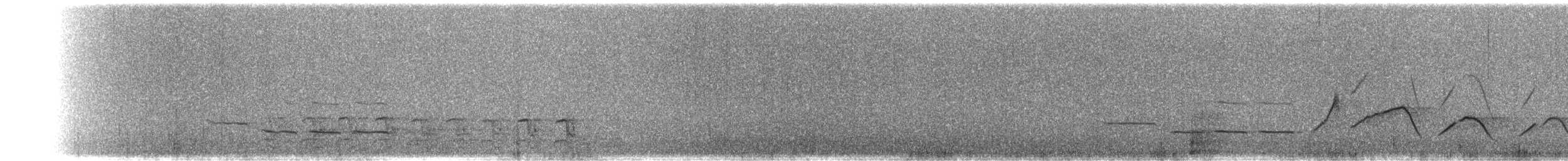 Forest Rock-Thrush - ML644600199