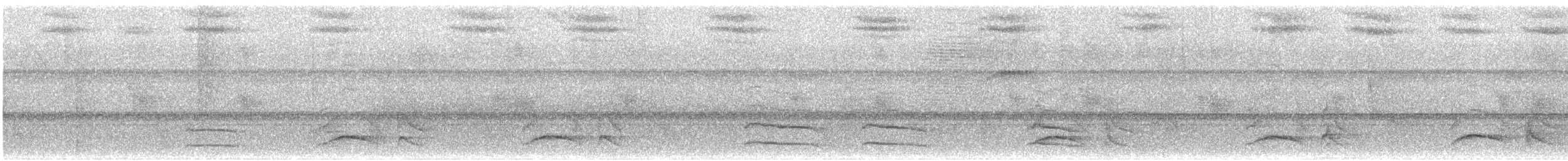 White-rumped Sirystes - ML644600677