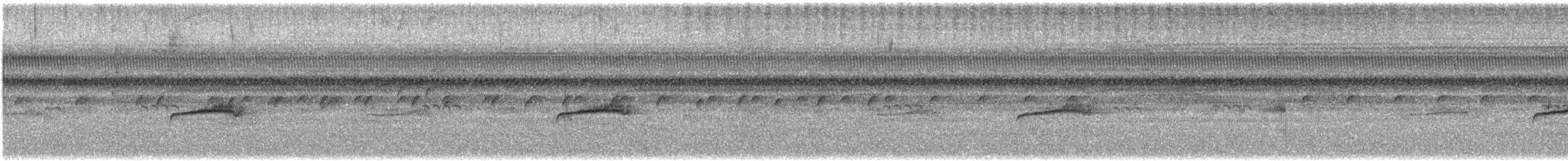 Pioui de l'Ouest - ML644601005