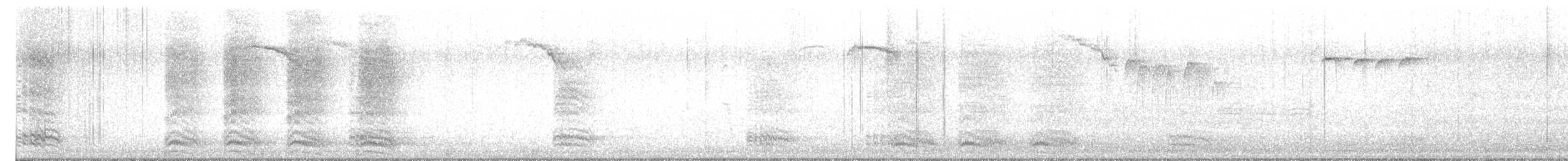 Corneille d'Amérique - ML644601227