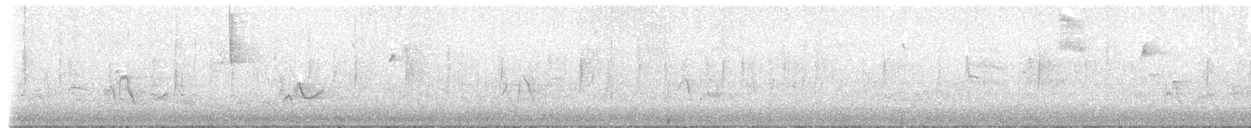 Plumbeous Vireo - ML644601343