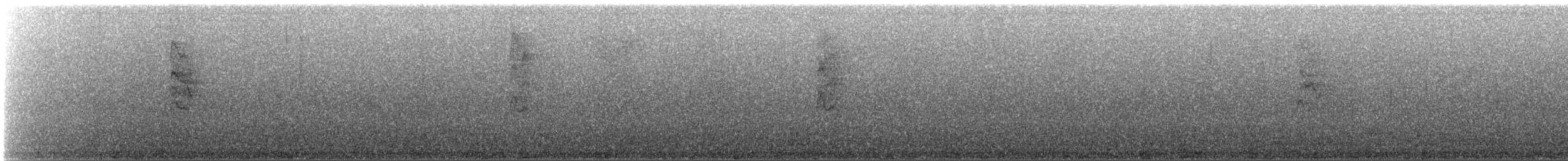 bird sp. - ML644601770