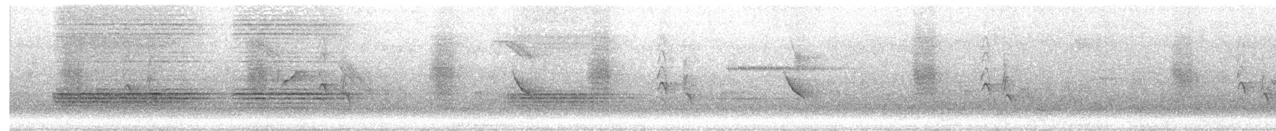 Kül Rengi Drongo - ML644601790