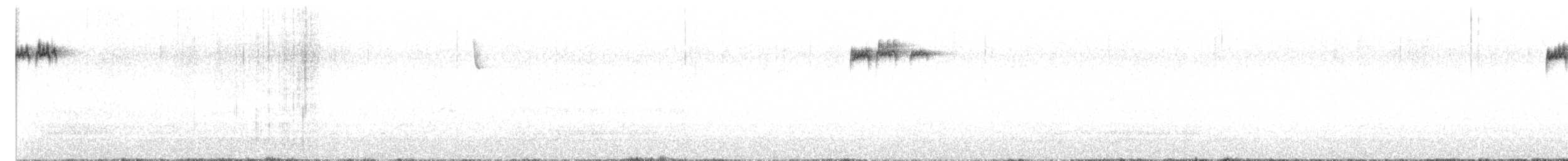 Erregetxo amerikarra - ML644602155