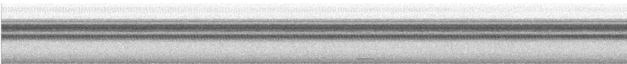 Marmorwachtel - ML644602287