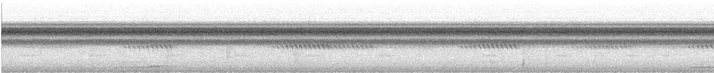 Marmorwachtel - ML644602291