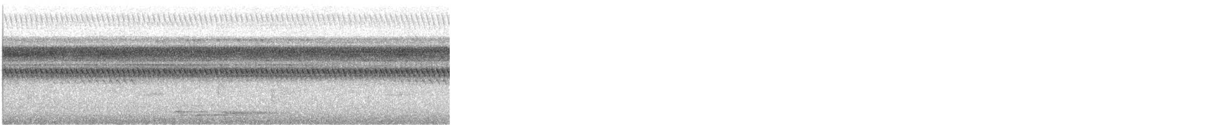 Marmorwachtel - ML644602297