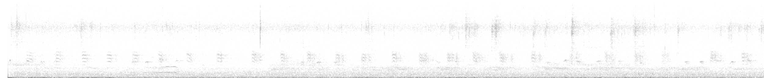 Шишкар ялиновий - ML644602408