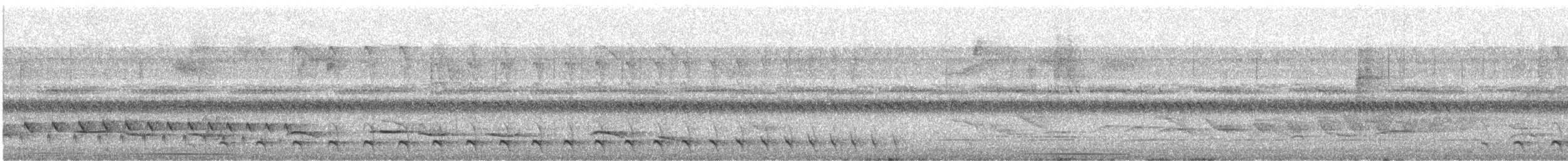 Great Antshrike - ML644602703