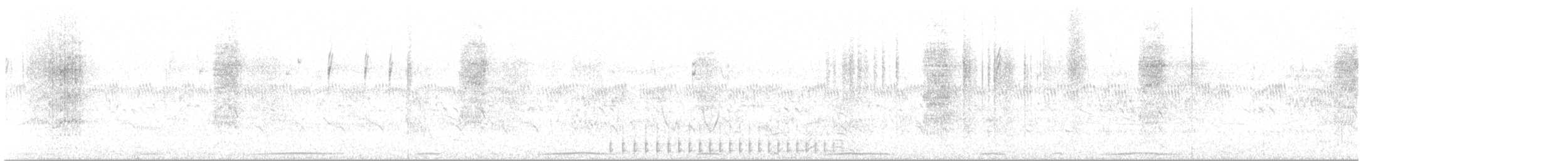 Black-bodied Woodpecker - ML644602860