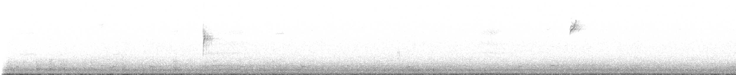 White-crowned Sparrow - ML644602894