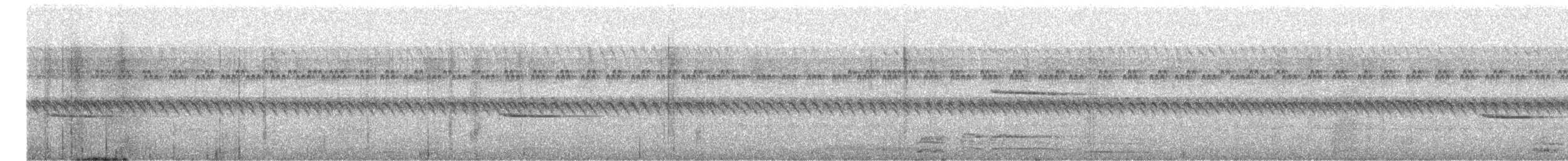 Scaly-breasted Wren - ML644602919