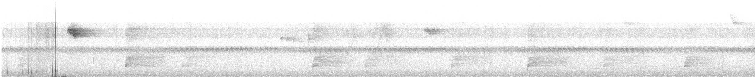 Solitary Black Cacique - ML644603059