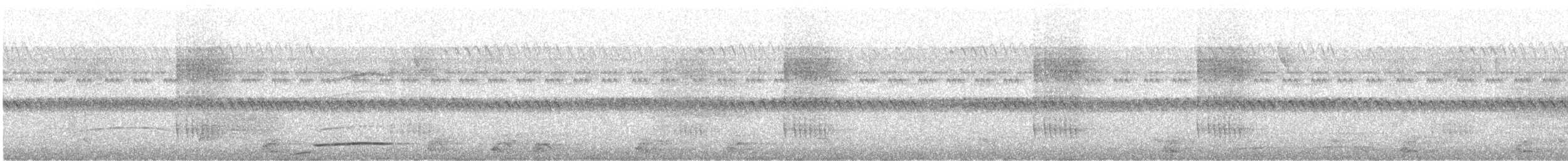 Solitary Black Cacique - ML644603096