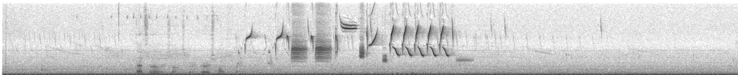 Chingolo Cantor - ML644603134