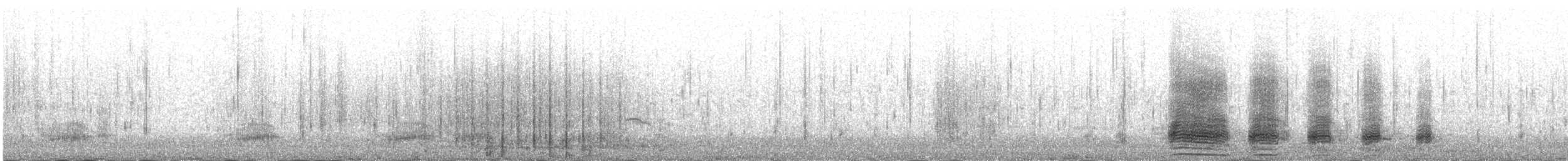 Крижень звичайний - ML644603808