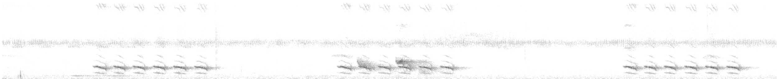 Variable Antshrike - ML644604586