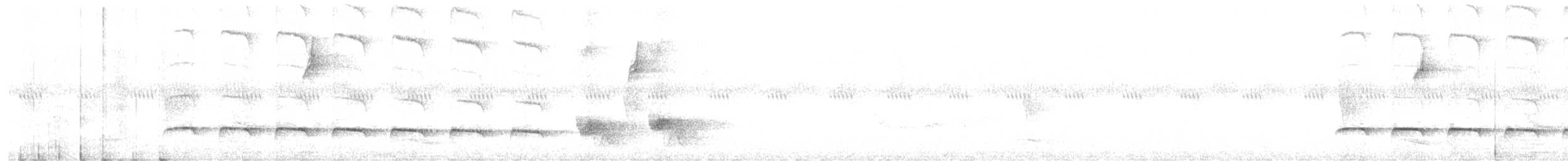 カタジロアカメアリドリ - ML644604620