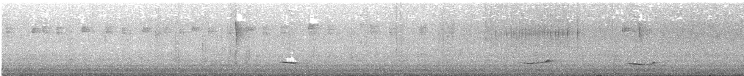 Yellow-backed Oriole - ML644604913