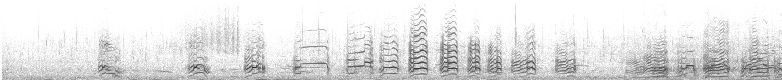 Ring-billed Gull - ML644605161