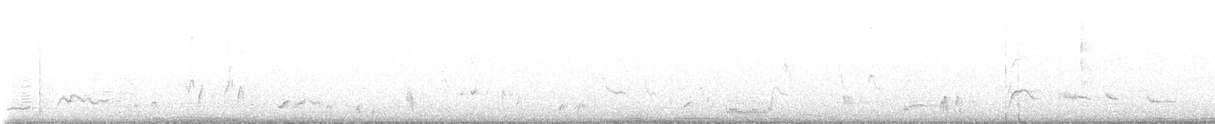 Curve-billed Thrasher (palmeri Group) - ML644605224