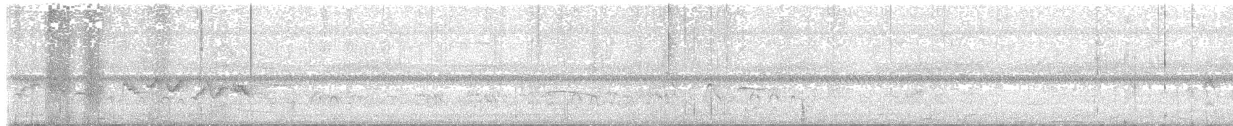 Paruline voilée - ML644605264