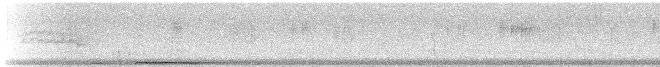 Chouette hulotte - ML644606405