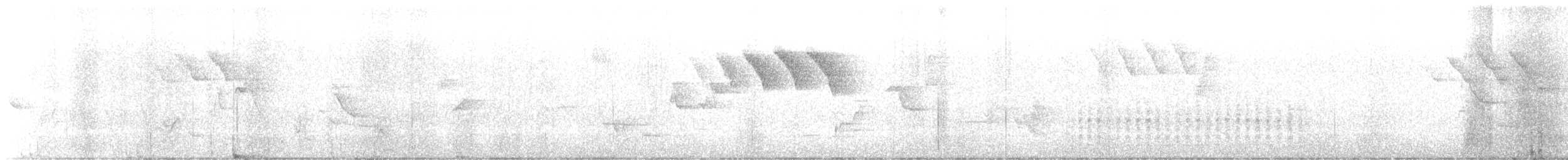 Цитринка чорновола - ML644607031