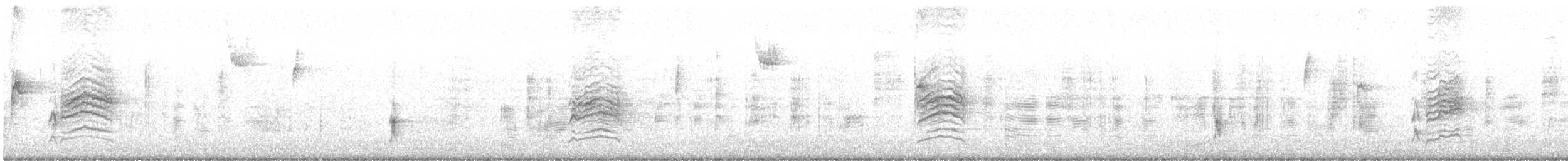 Hermit Thrush - ML644607133